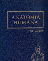 Image of Anatomia humana