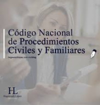 Image of Código Nacional de Procedimientos Civiles y Familiares