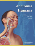 Anatomía humana
