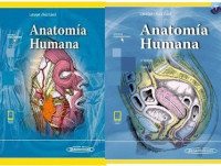 Image of Anatomía humana