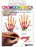 Anatomia cromodinamica