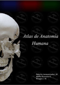 Image of Atlas de anatomía humana