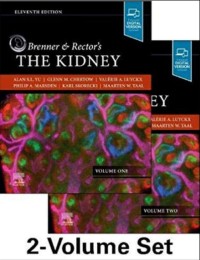 Image of Brenner & Rector’s. The kidney