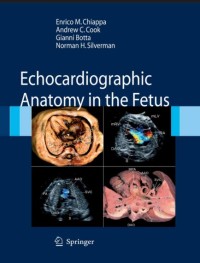 Image of Echocardiographic anatomy in the fetus