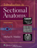 Introduction to sectional anatomy