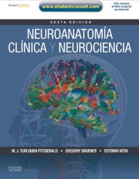 Image of Neuroanatomía clínica y neurociencia