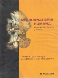 Image of Neuroanatomía humana : aspectos funcionales y clínicos