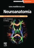 Neuroanatomía : texto y atlas en color