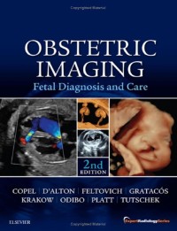 Image of Obstetric imaging : fetal diagnosis and care