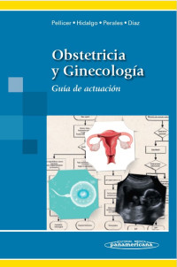 Image of Obstetricia y ginecología : guía de actuación