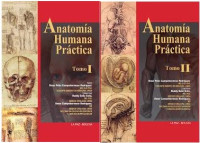 Image of Texto de anatomía humana práctica