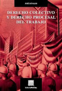 Image of Derecho colectivo y derecho procesal del trabajo