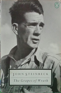 Image of The grapes of wrath