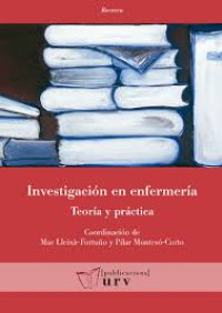 Image of Investigación en enfermería : teoría y práctica